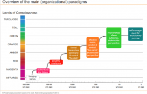 organisational paradigm - reinventing organisations