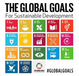 sdgs goals