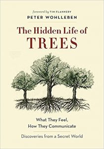 the-hidden-life-of-trees